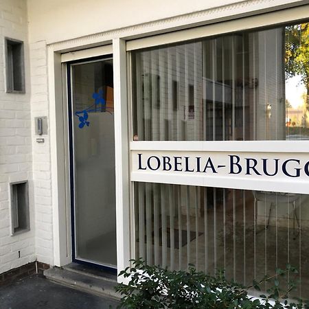B&B Lobelia-Brugge Bagian luar foto