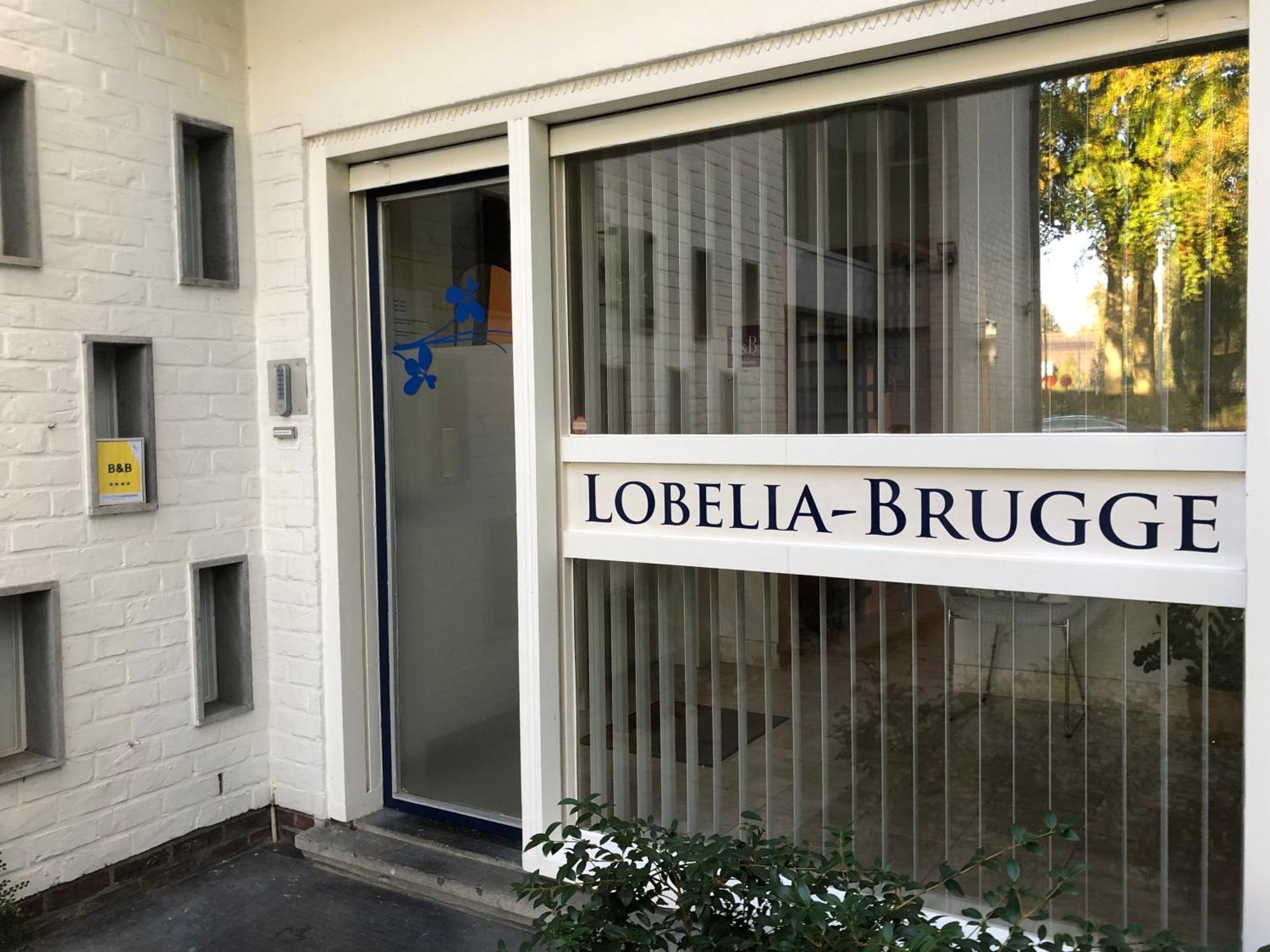 B&B Lobelia-Brugge Bagian luar foto