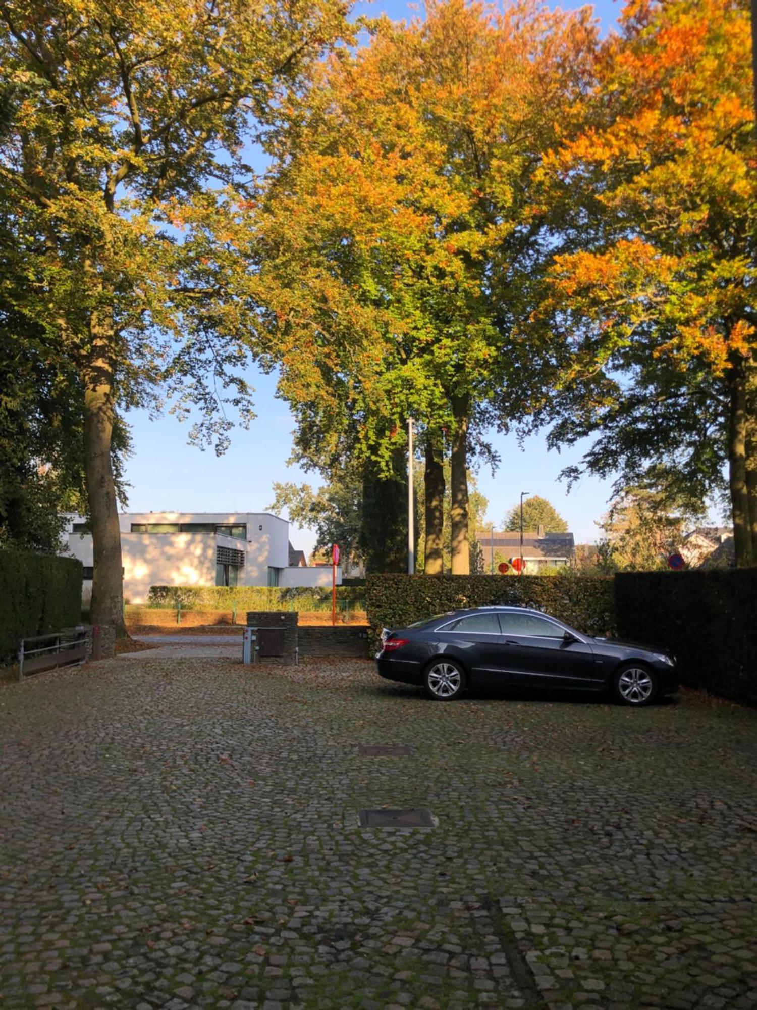 B&B Lobelia-Brugge Bagian luar foto