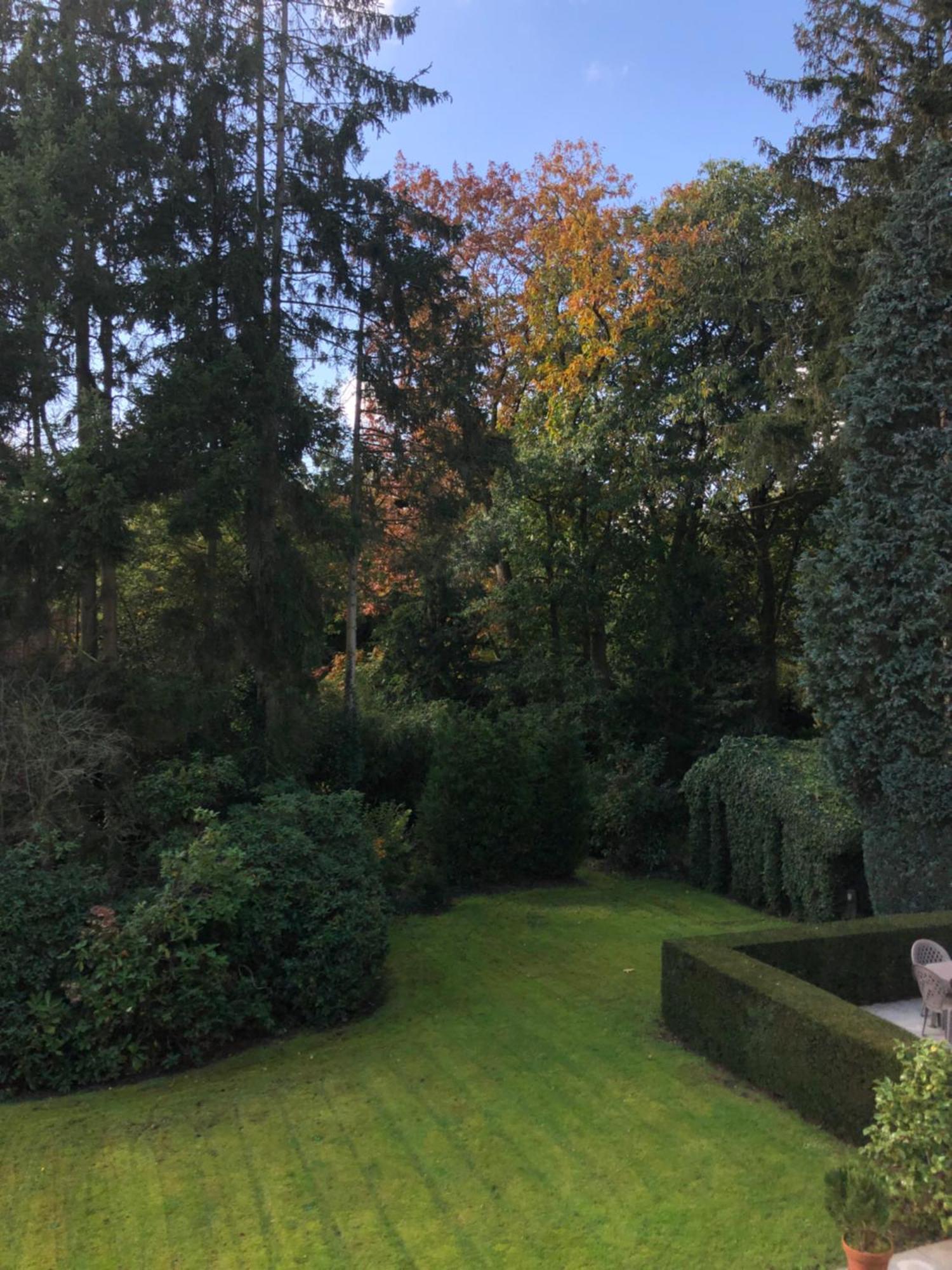 B&B Lobelia-Brugge Bagian luar foto